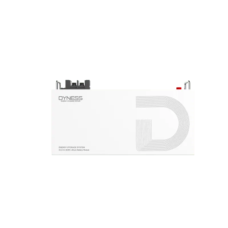 Dyness DL2.5-24V Battery