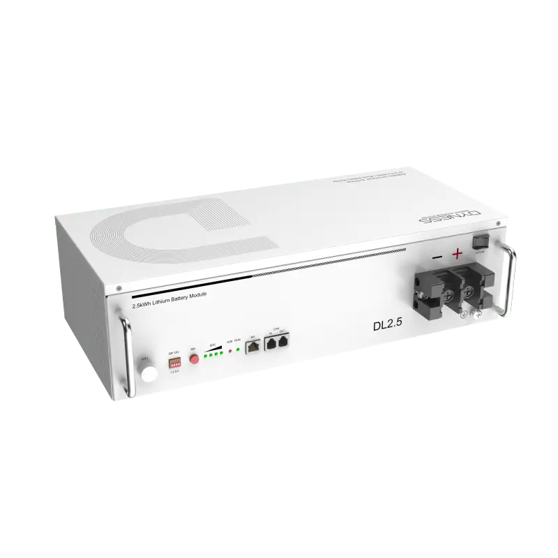 Dyness DL2.5-24V Battery