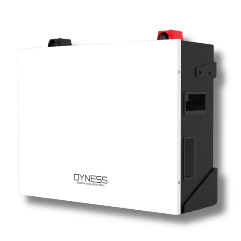Dyness DL5.0C LifePo4 Battery