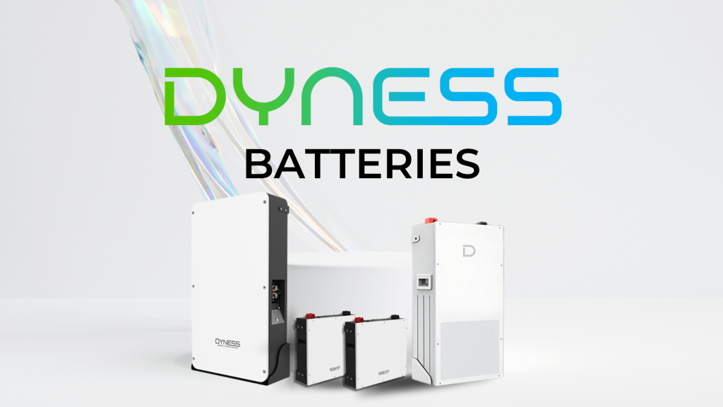 Dyness Batteries
