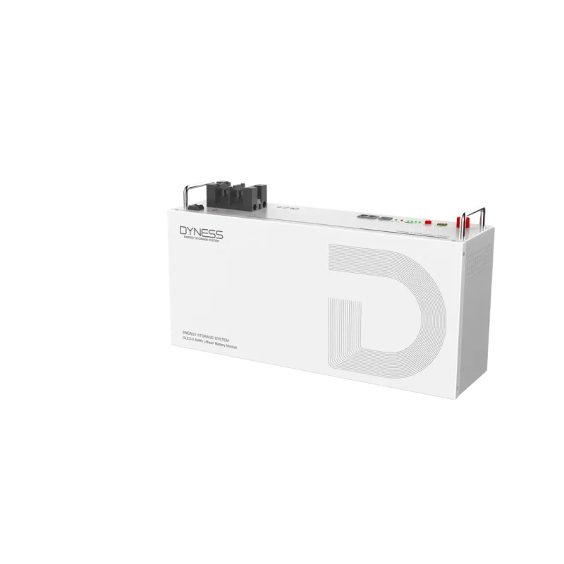 Dyness DL2.5-24V Battery (2.56kWh 100Ah)